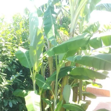 Di Bartolomeo Capaccio