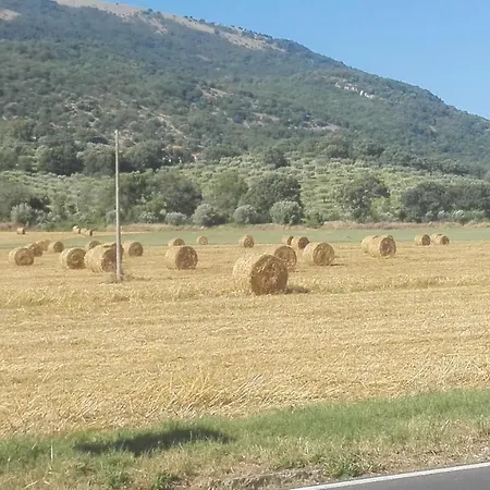 Di Bartolomeo Nocleg ze śniadaniem Capaccio